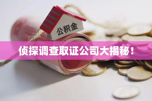 福州侦探调查取证公司大揭秘！