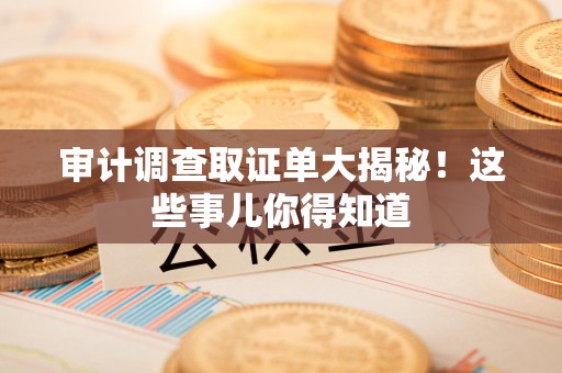 福州审计调查取证单大揭秘！这些事儿你得知道