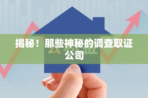 福州揭秘！那些神秘的调查取证公司